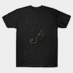 Scorpio Star Constellation T-Shirt